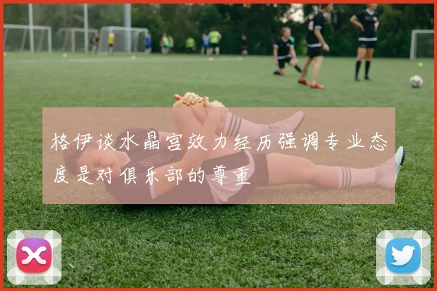 格伊谈水晶宫效力经历强调专业态度是对俱乐部的尊重