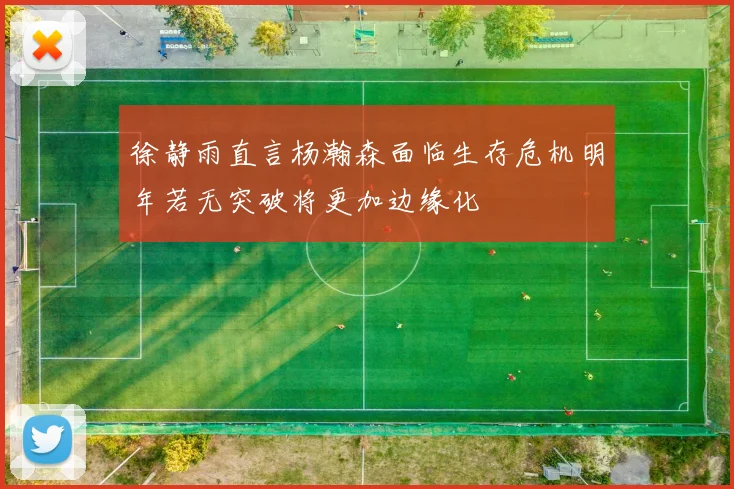 徐静雨直言杨瀚森面临生存危机明年若无突破将更加边缘化
