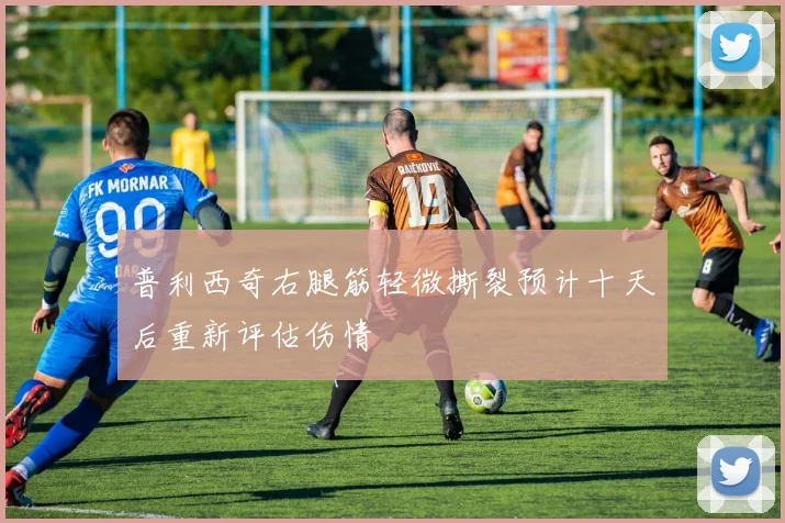 普利西奇右腿筋轻微撕裂预计十天后重新评估伤情