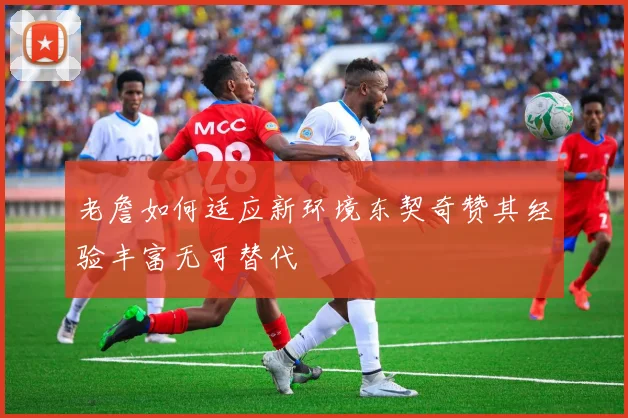 老詹如何适应新环境东契奇赞其经验丰富无可替代