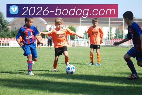 博狗娱乐平台生态图