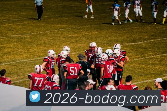 博狗娱乐APP 封面图